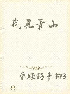 我见青山封面