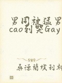 男同被猛男房东cao到哭Gay