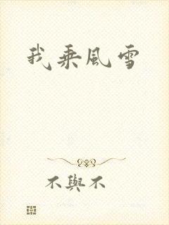 我乘风雪封面