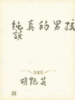 纯真的男孩子小说