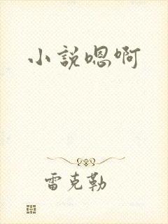 小说嗯啊