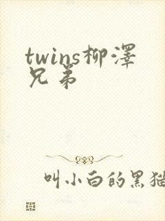 twins柳泽兄弟