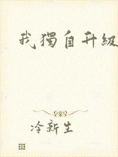 我独自升级小说封面