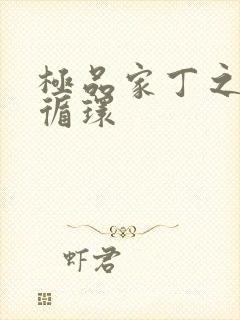 极品家丁之因果循环