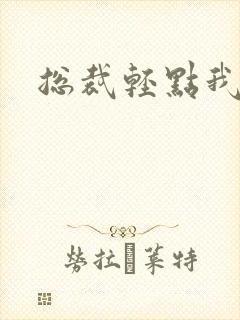 总裁轻点我怕疼