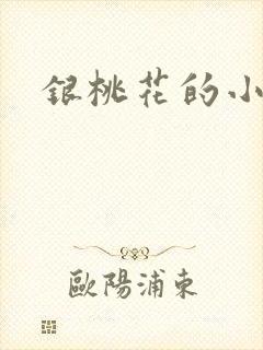 银桃花的小说