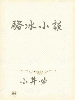 骆冰小说
