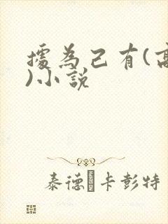 据为己有(高干)小说