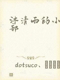 沐清雨的小说全部