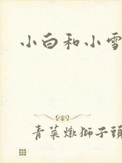 小白和小雪