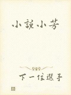 小说小芳