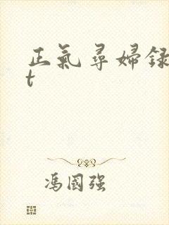 正气寻妇录txt封面