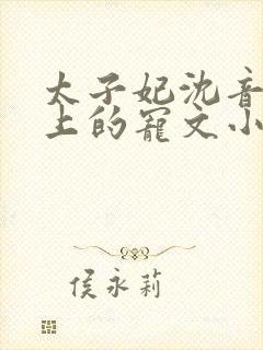 太子妃沈音和皇上的宠文小说