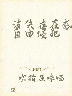 消失存在感消失自由侵犯