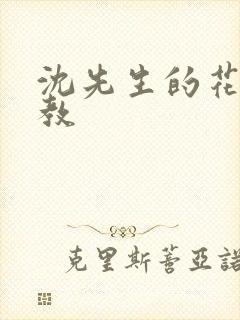 沈先生的花式调教封面