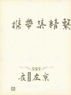 携带集精系统封面