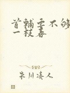 首辅要不够po一枝春