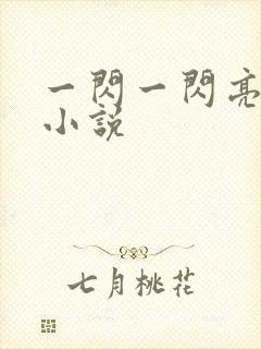 一闪一闪亮星星小说封面