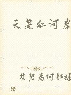 天是红河岸小说封面