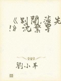 《别闹,薄先生!》沈繁星封面