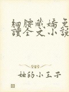 细腰藏娇免费阅读全文小说苏珞浅封面