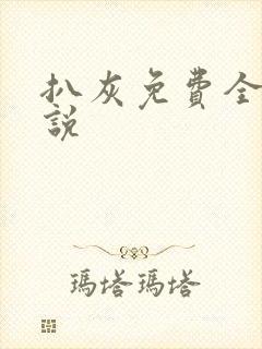 扒灰免费全本小说封面