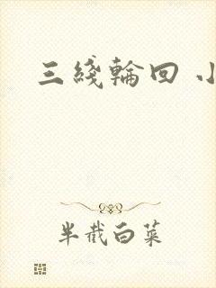 三线轮回 小说