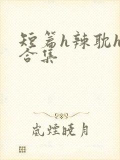 短篇h辣耽h文合集