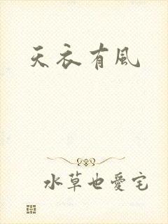 天衣有风封面