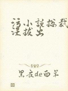 污小说总裁整夜没拔出