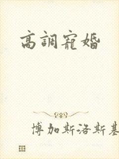 高调宠婚