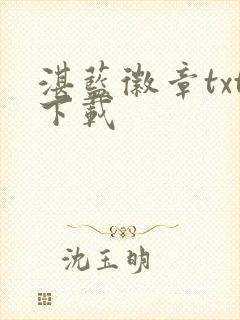 湛蓝徽章txt下载封面