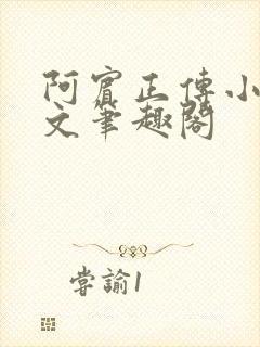 阿宾正传小说全文笔趣阁封面