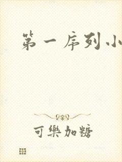 第一序列小说封面