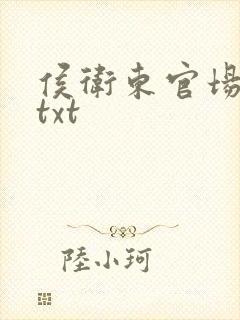 侯卫东官场笔记txt