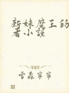 新妹魔王的契约者小说