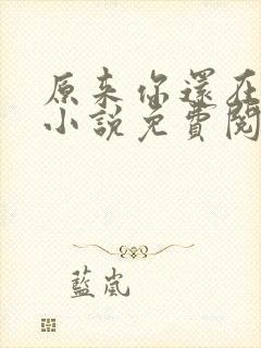 原来你还在这里小说免费阅读