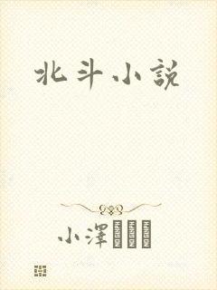 北斗小说封面