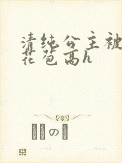 清纯公主被迫开花苞高h封面