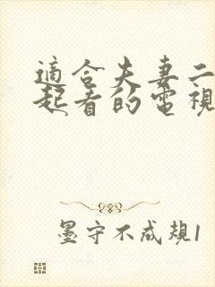 适合夫妻二人一起看的电视剧封面