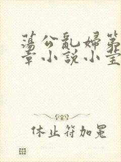 荡公乱妇第51章小说小莹封面