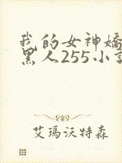 我的女神娇妻与黑人255小说
