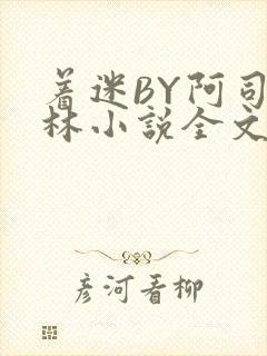 着迷BY阿司匹林小说全文免费阅读