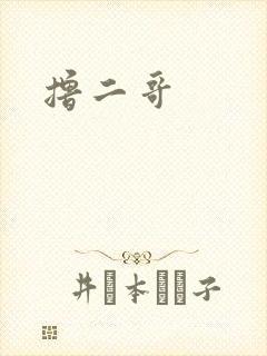 撸二哥