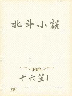 北斗小说