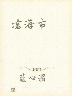 沧海市封面