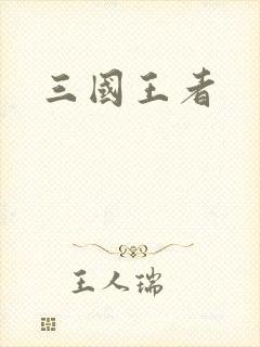 三国王者封面