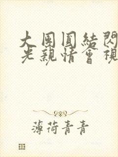 大团圆结闪闪发光亲情会视频