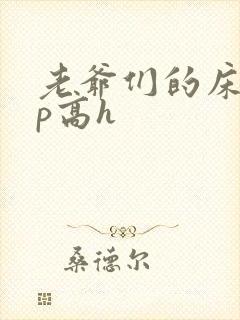 老爷们的床奴np高h