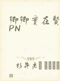 卿卿实在贤良NPN